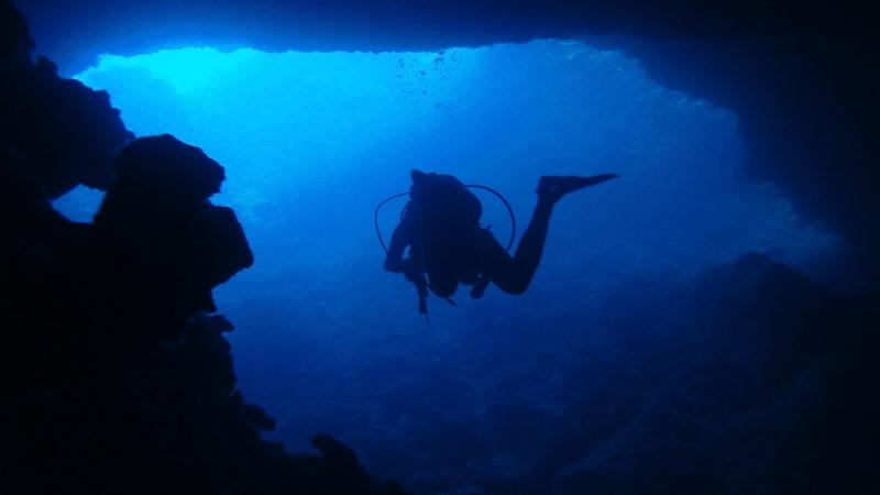 Divemaster course