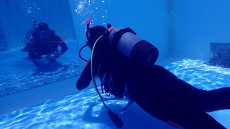 Open Water Diver Course