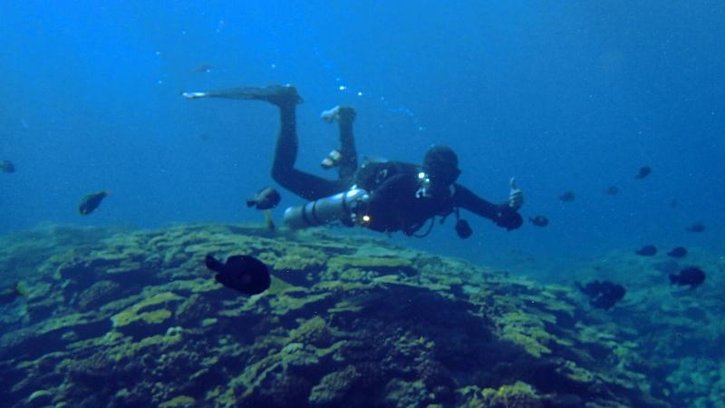 Peak Performance Buoyancy Diver Specialty Course