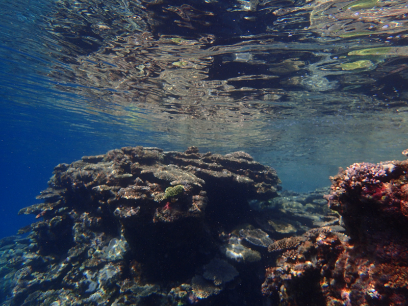 cape hedo shallow reef