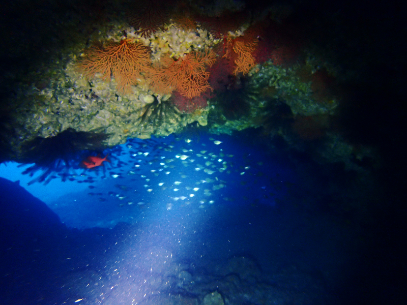 cape zampa deep arch