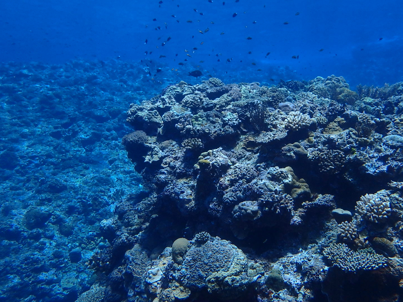 itoman shallow reef