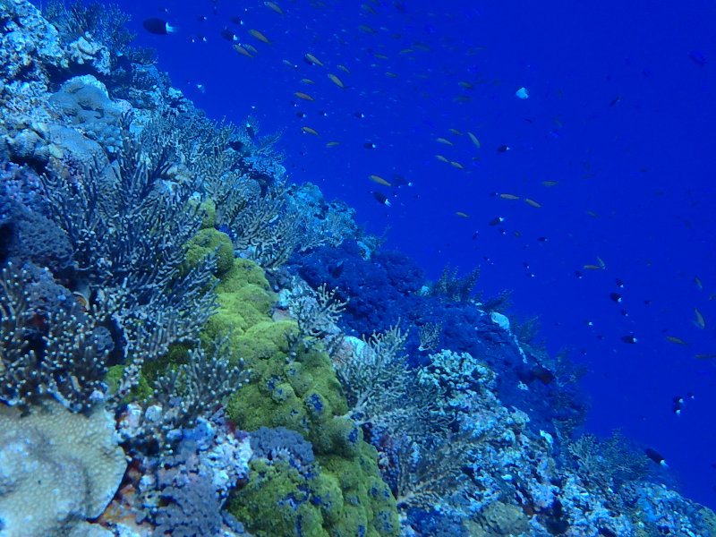 kerama islands okinawa beautiful wall