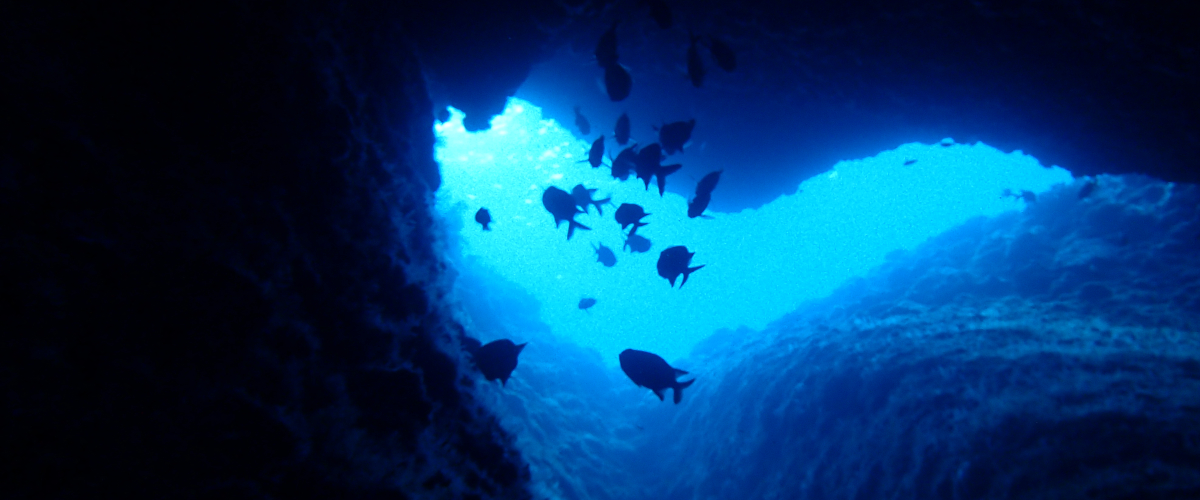 Arch okinawa scuba diving