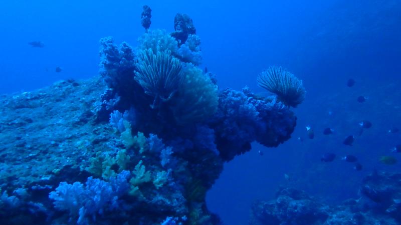 Kayauchibanta no shita, Keramas, Okinawa