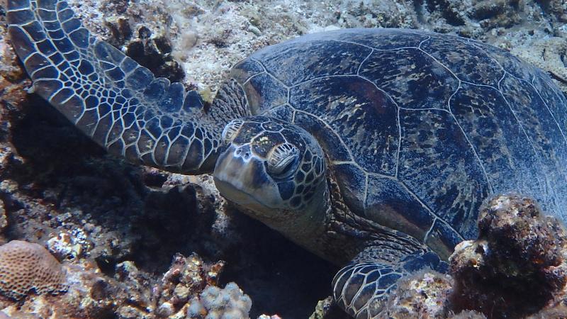 Gishippu Island, Keramas, Okinawa