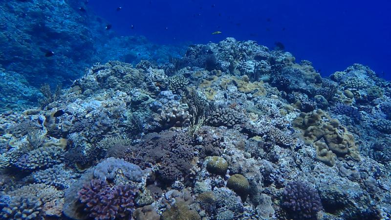 Kuroshima, Keramas, Okinawa