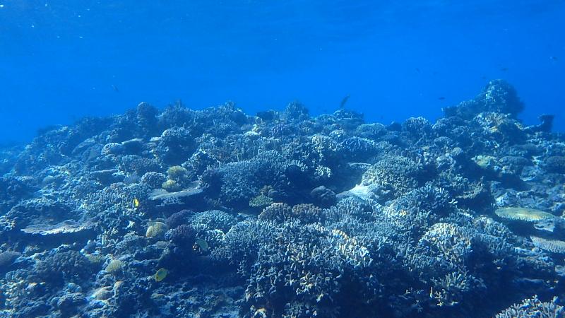 Zamami Island, Keramas, Okinawa