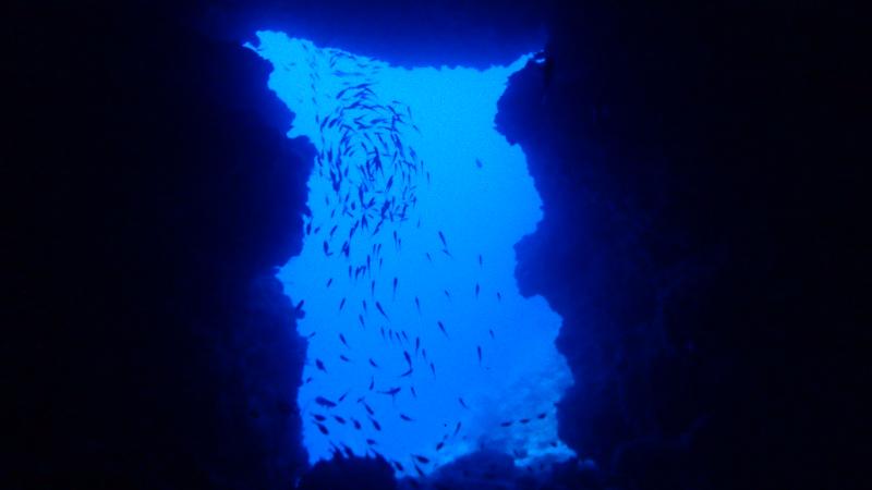 okinawa fun diving manza dream hole