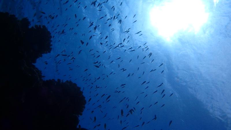 Cable, Minna Island, Okinawa