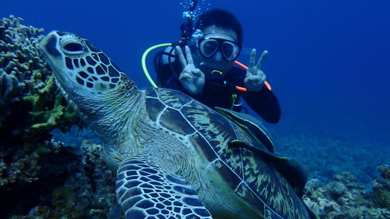 Okinawa discover scuba diving