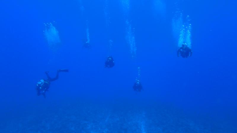 Okinawa fun diving