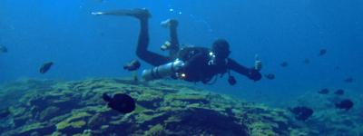 Peak Performance Buoyancy Diver Specialty Course