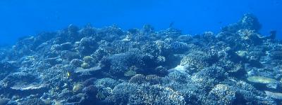 Zamami Island, Keramas, Okinawa