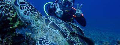Okinawa discover scuba diving