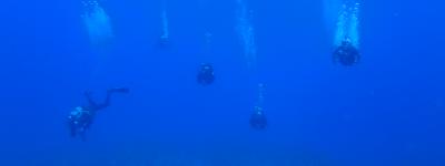 Okinawa fun diving