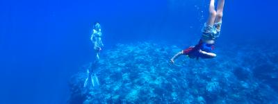 Okinawa snorkeling